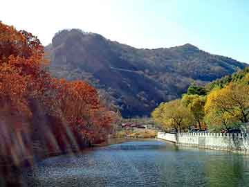 新澳天天开奖资料大全旅游团，合力堆高机